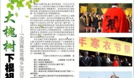 盐城日报爆料内容最新版,聚焦重大事件，揭秘背后真相